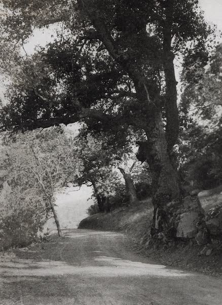 On Sunset Highways - Road to Warner's Hot Springs (1915)