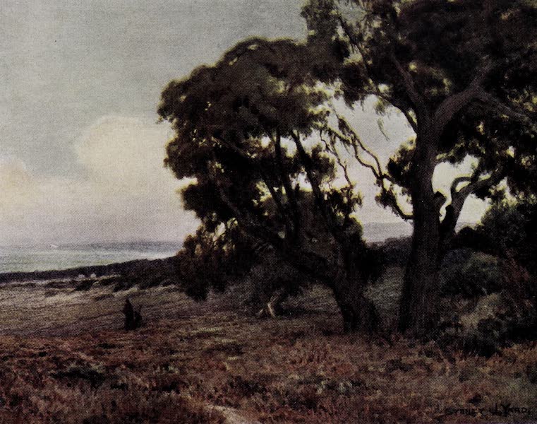 On Sunset Highways - Evening near Monterey (1915)