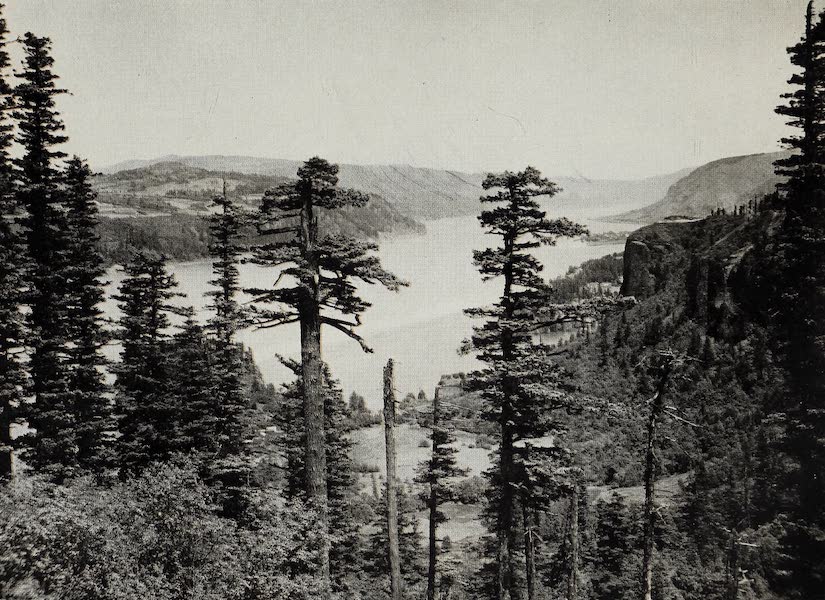 Oregon, the Picturesque - Columbia River Gorge from Chanticleer Inn (1917)