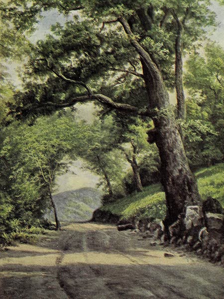 Oregon, the Picturesque - On the Pacific Highway in Oregon (1917)