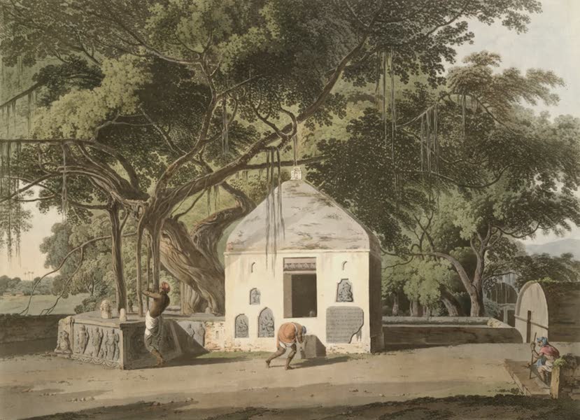 Oriental Scenery Vol. 1 - The Sacred Tree of the Hindoos at Gyah, Bahar (1795)