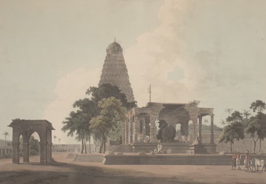 The Great Bull, an Hindoo Idol, at Tanjore