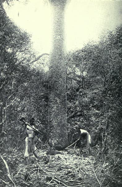 Paraguay by Henry Koebel - Timber Felling in the Chaco  (1917)