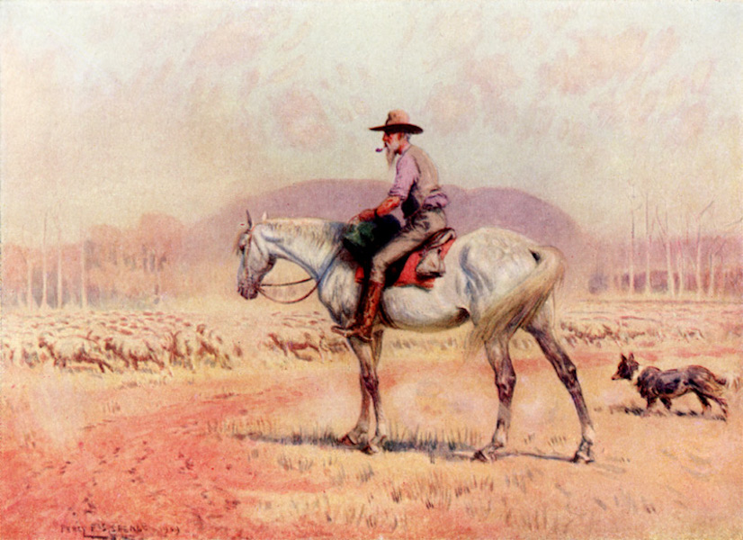 A Sheep Drover