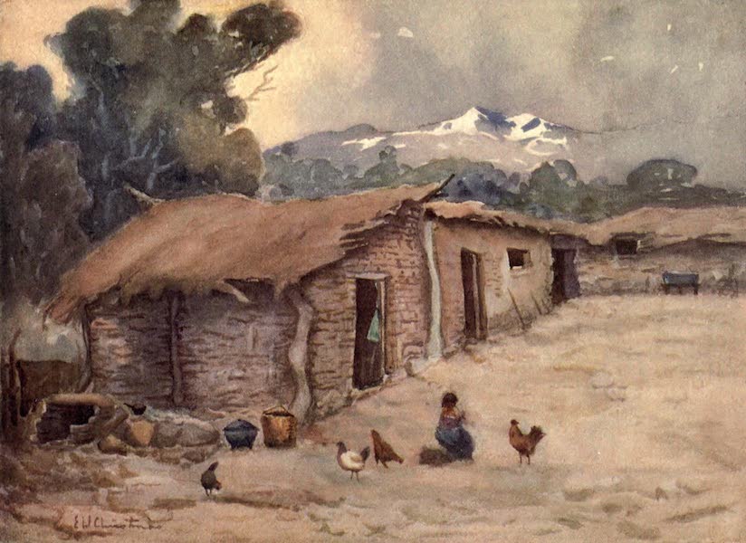 A Paisano's Hut of the Chilian Frontier