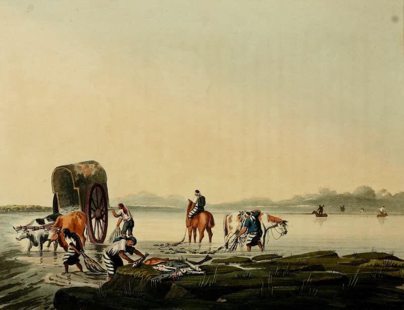 Picturesque Buenos Ayres & Monte Video - Fishing (1820)