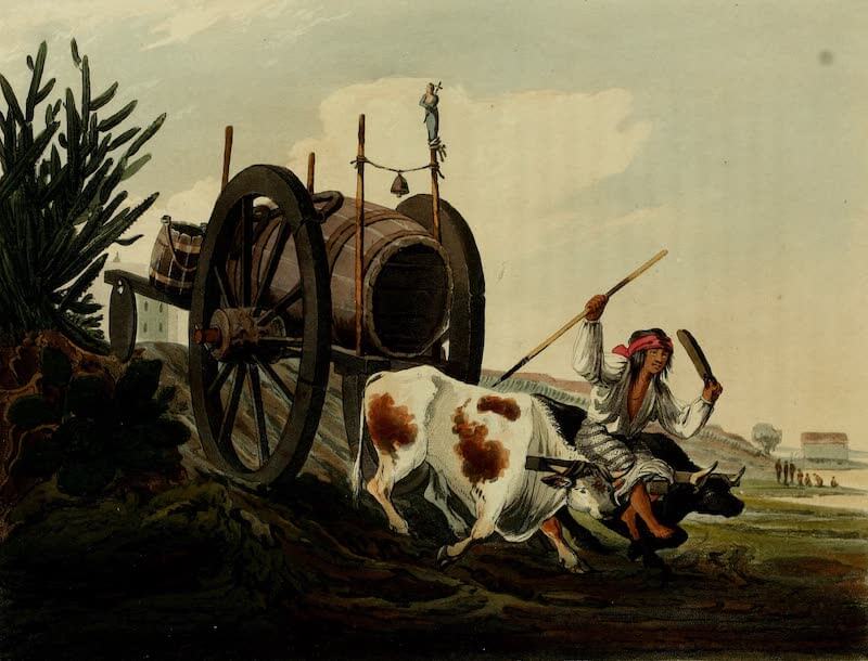 Picturesque Buenos Ayres & Monte Video - Water Cart (1820)