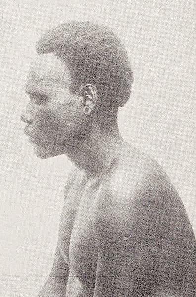 Pioneers in Australasia - Oceanic Negro Type from the Northernmost Solomon Islands (1912)