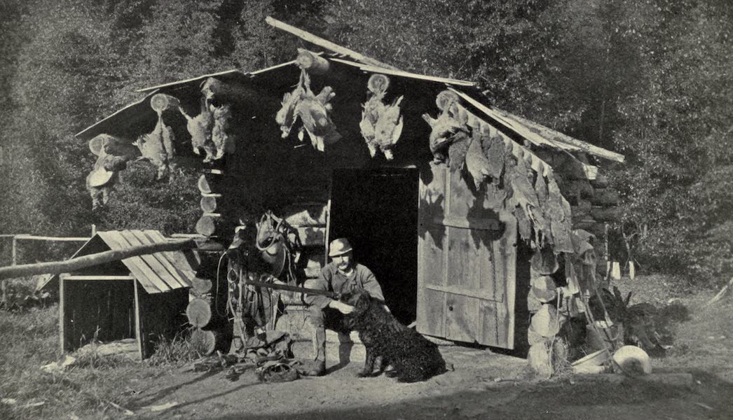 A Hunters Shack in British Columbia After a Successful Shoot of Blue Grouse