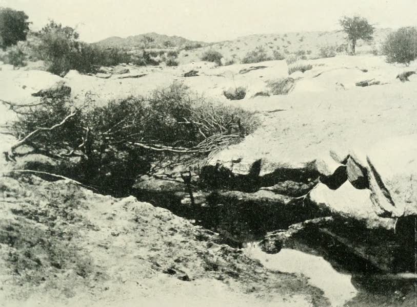 A Water Hole in the Kalahari Desert