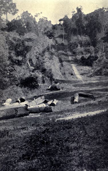 Pioneers in Tropical America - A Chute For Mahogany Logs on an Estate Near Vaca Falls (1914)