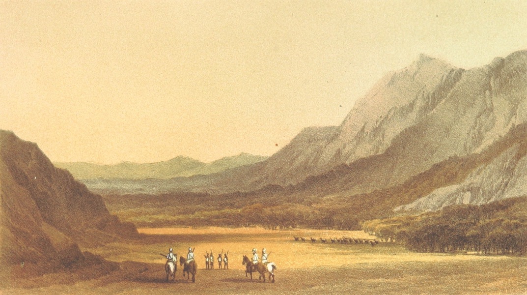 Reconnoitring in Abyssinia - Wangaboo Plain and Galata Jungle (1870)