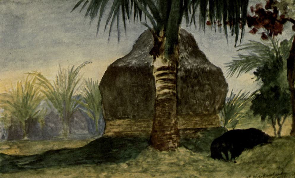 Mountain Hut or House at Waikumbukumbu, Fiji