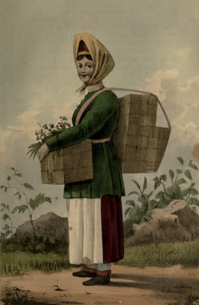Russia: or, Miscellaneous Observations  - The Mushroom Gatherer (1833)
