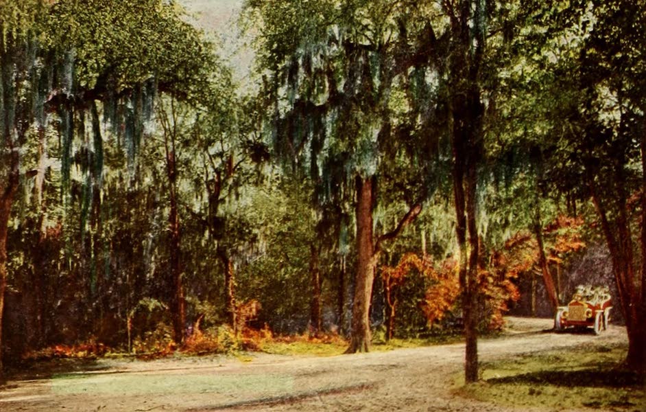 San Antonio, A Descriptive View Book in Colors - Brackenridge Park (1913)