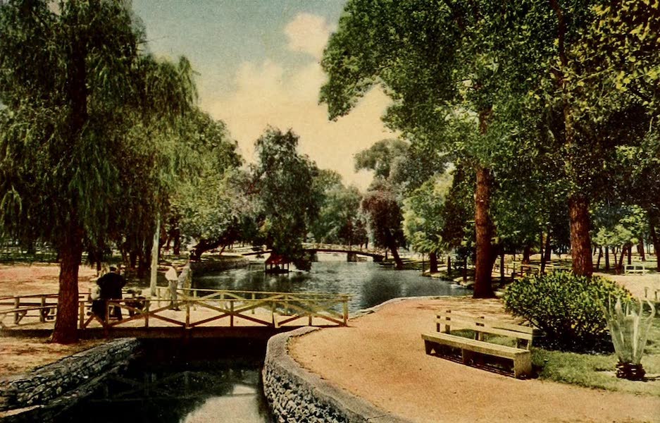 San Antonio, A Descriptive View Book in Colors - San Pedro Park (1913)