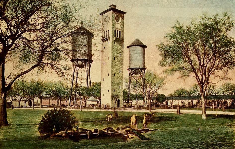 San Antonio, A Descriptive View Book in Colors - Inside of the Quadrangle of Fort Sam Houston (1913)