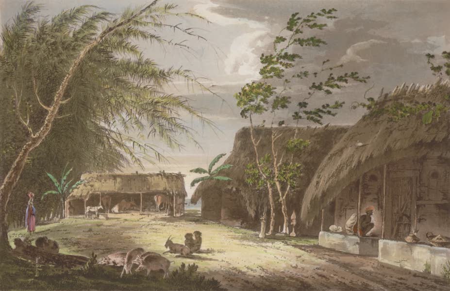 A View of a Farm-Yard in the Kingdom of Benga