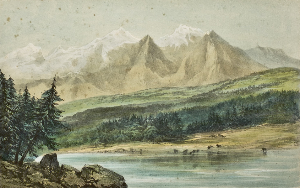 Sketches in North America and the Oregon Territory - McGillivray or Kootoonai River (1848)