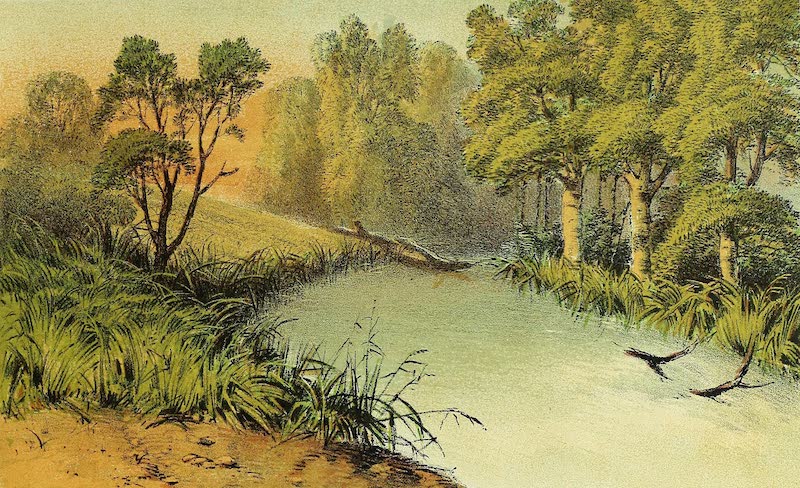 Rapids on the Wami River