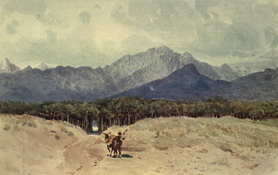 The Carrara Mountains from the Sea-coast