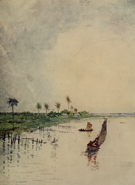 South America, Painted and Described - A Tropical Scene on the Parana River (1912)