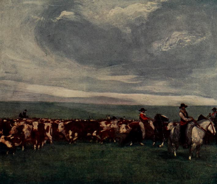 South America, Painted and Described - Rounding Up a Herd of Lemco Cattle on the Bichadero Estancia, Uruguay (1912)
