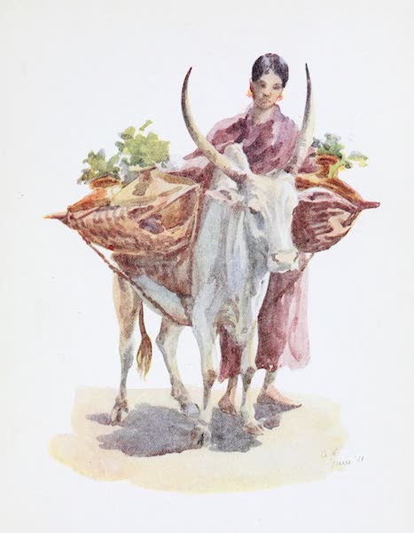Southern India, Painted and Described - A Canarese Water Woman (1914)
