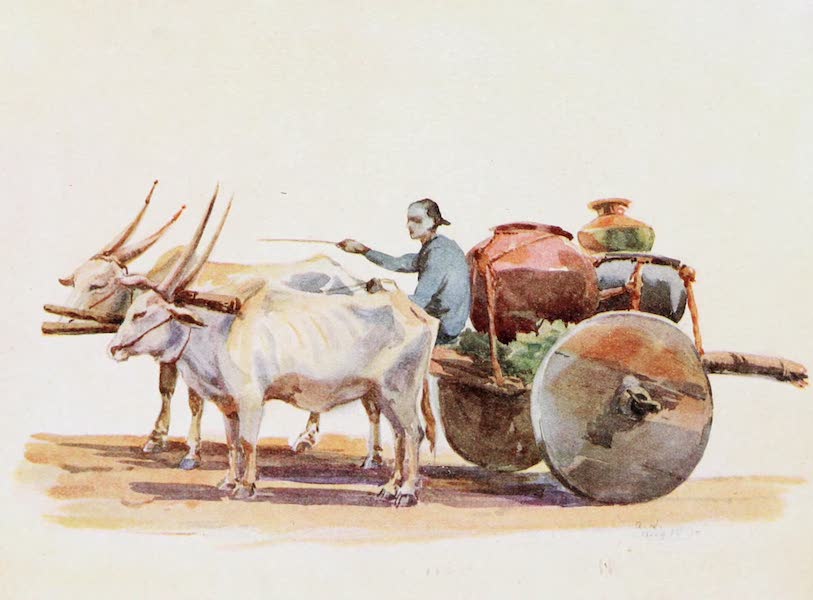 A Primitive Water-Cart of Mysore