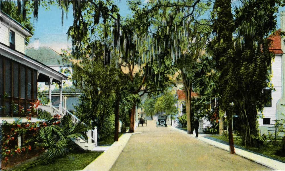 Souvenir of Daytona and Daytona Beach, Florida - Ivy Lane, Daytona (1917)