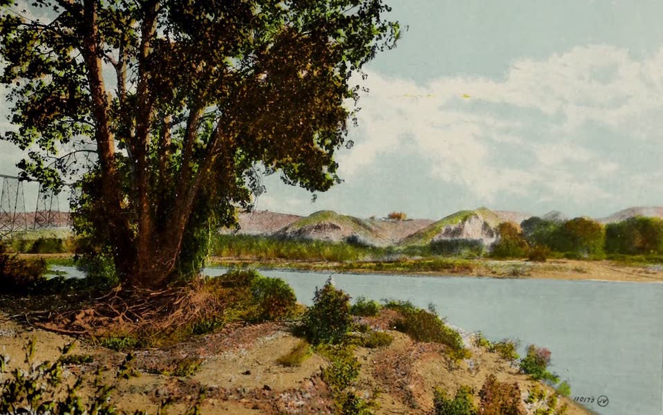 A Glimpse of Lethbridge from the Valley