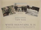 Souvenir View Book of the White Mountains