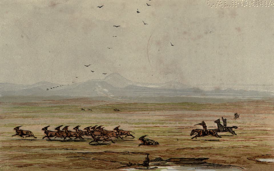 Sporting Scenes Amongst the Kaffirs of South Africa - Hunting the Eland (1858)