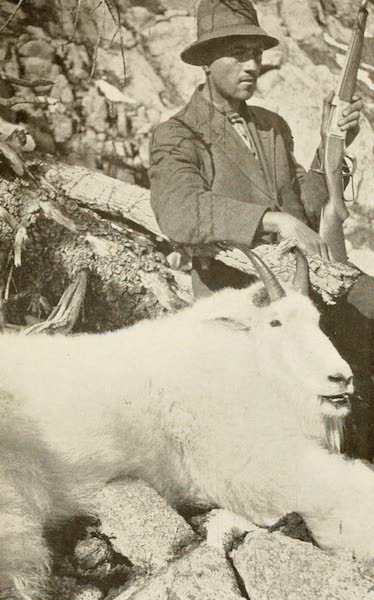 "Big Billy," the "Record" Mountain Goat