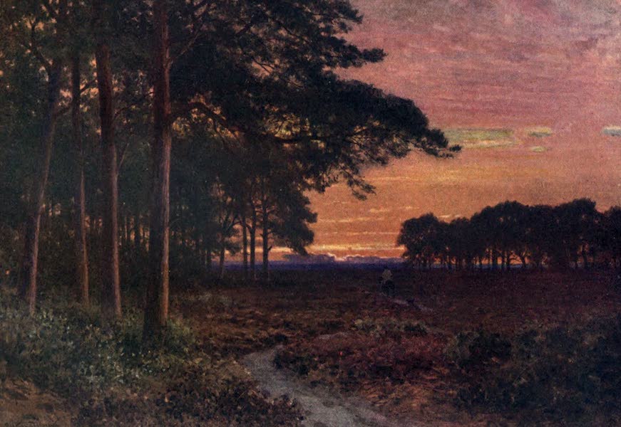 Evening on the Moors, Hindhead