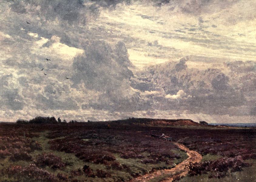 Surrey Painted and Described - The Sandy Road, Milford Heath (1906)