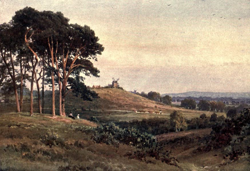 Surrey Painted and Described - Reigate Heath, Evening (1906)