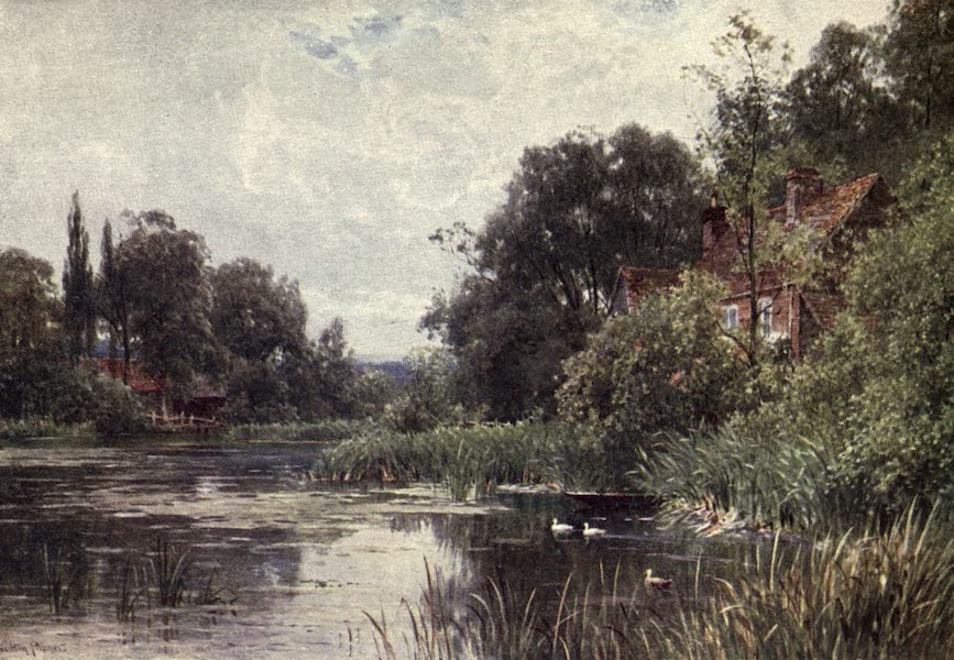 Surrey Painted and Described - Fittleworth Village (1922)