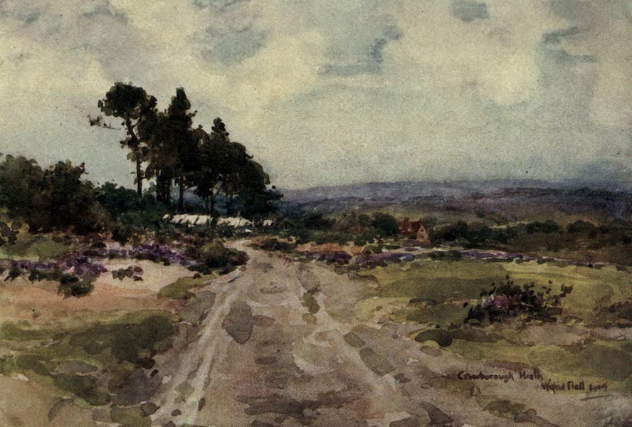 Sussex Painted and Described - Crowborough Heath (1906)