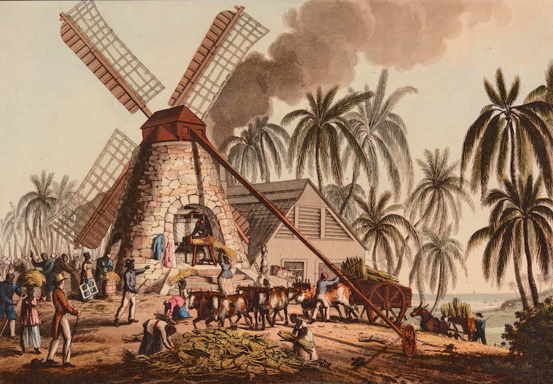 Ten Views in the Island of Antigua - A Mill Yard, on Gamble's Estate, Antigua (1823)