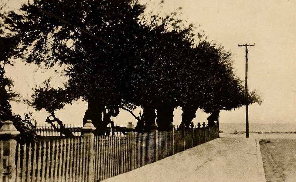 A View in Corpus Christi