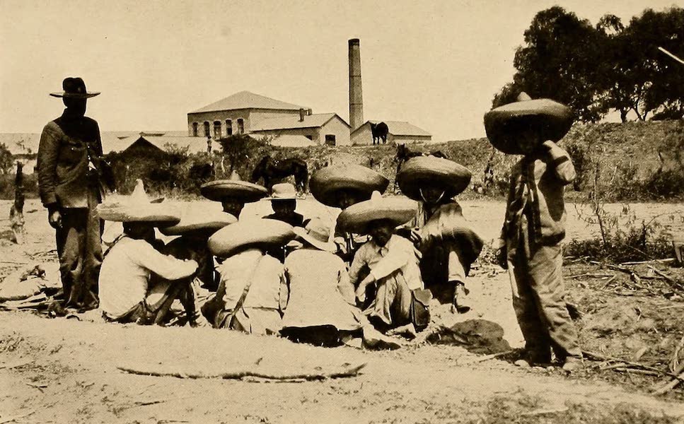 Texas, the Marvellous, the State of the Six Flags - Group of Mexican Insurrectos, opposite Brownsville (1916)