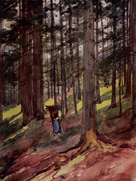 The Alps, Painted and Described - In the Woods of Chamonix (1904)