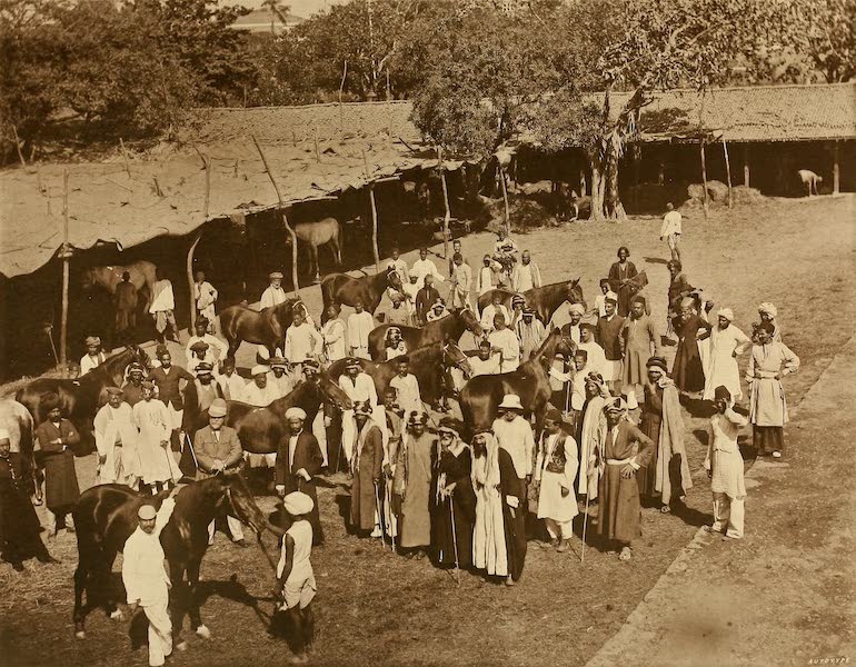 An Arab Horse Mart at Byculla, Bombay