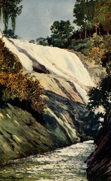 A Cascade at Tijuca