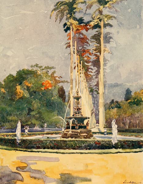 Avenue of Royal Palms, Botanical Gardens