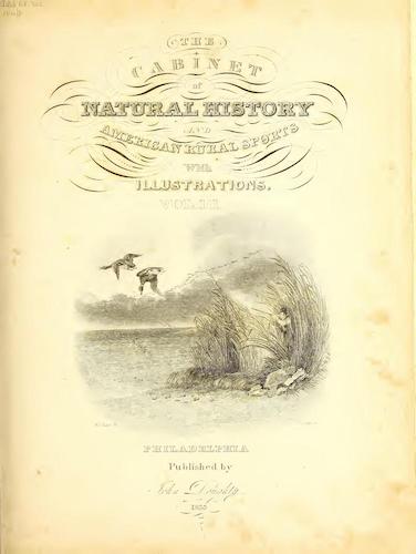 Biodiversity Heritage Library - The Cabinet of Natural History & American Rural Sports Vol. 3