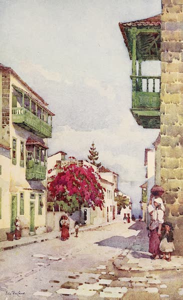 A Street in Puerto Orotava