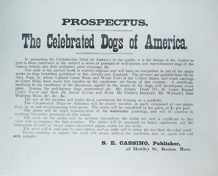 Prospectus