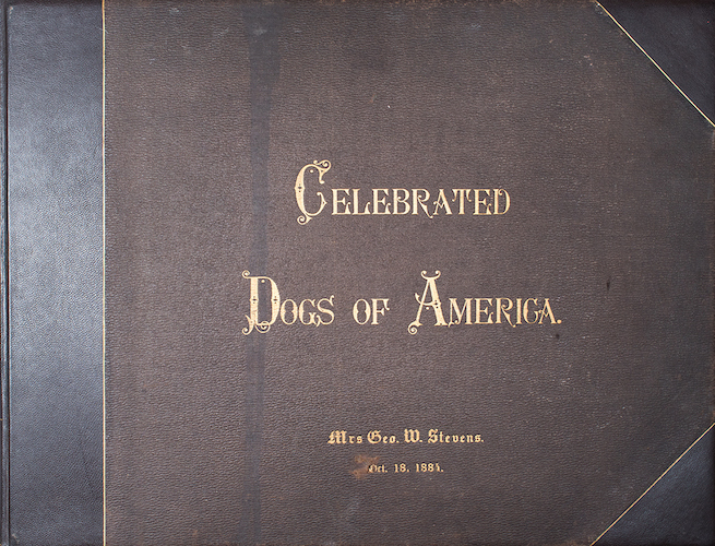 American Southwest - The Celebrated Dogs of America